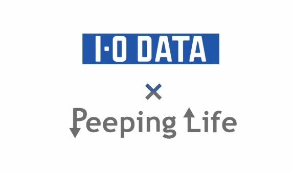 Постер к: Сложности жизни x I-O Data