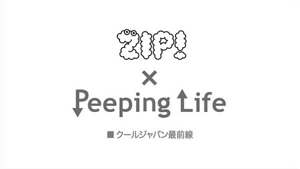 Постер к: Сложности жизни x ZIP!